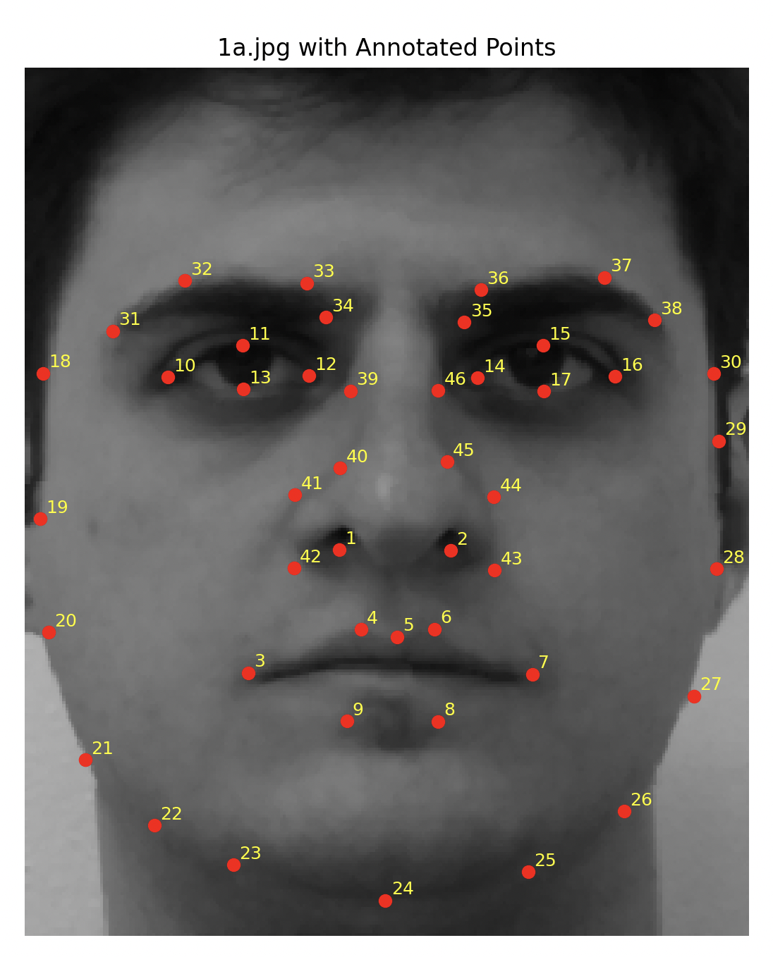 Annotated Face